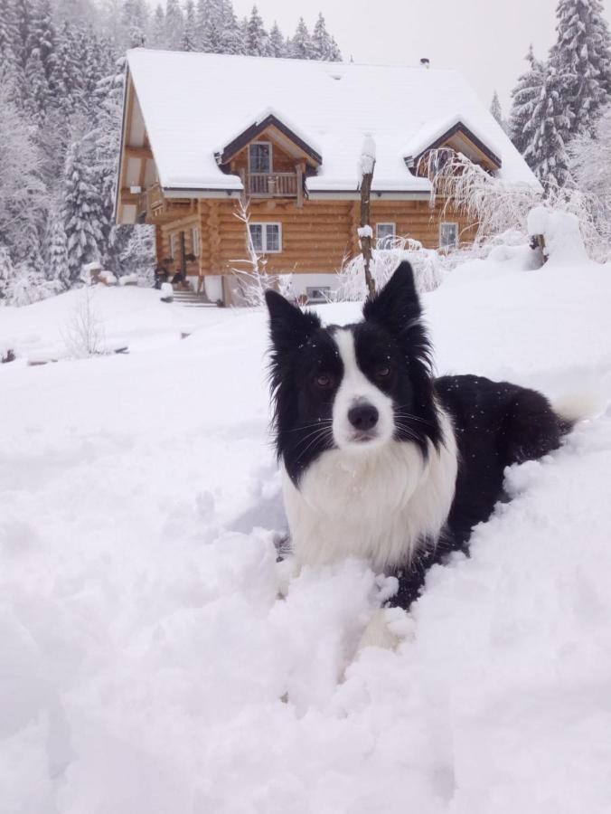 Chalet Le Dorf Bed & Breakfast Nötsch Dış mekan fotoğraf