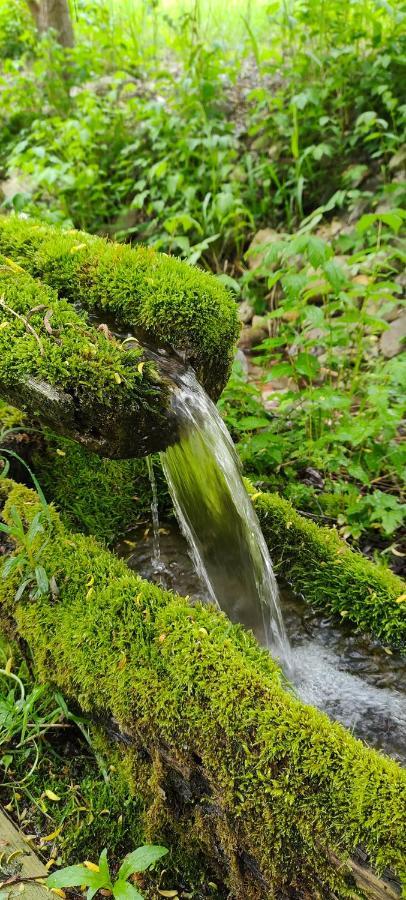 Chalet Le Dorf Nötsch Dış mekan fotoğraf